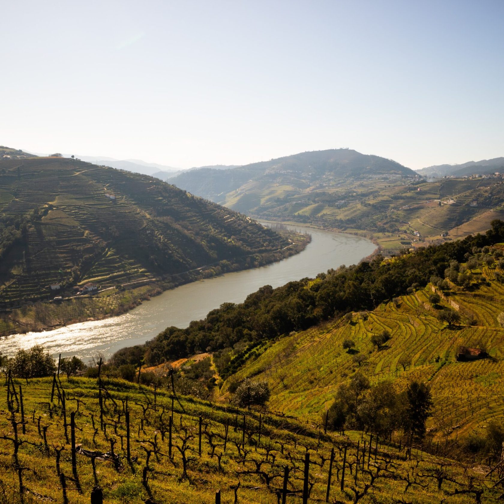 douro river landscapes in regua, douro