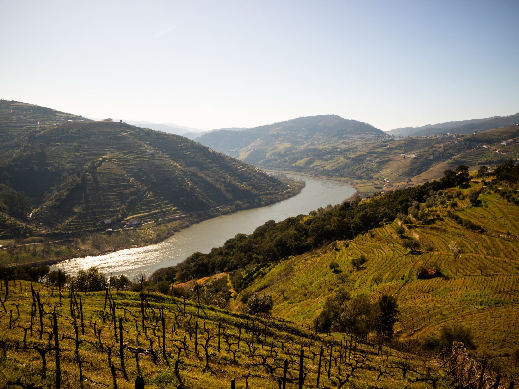 douro river landscapes in regua, douro