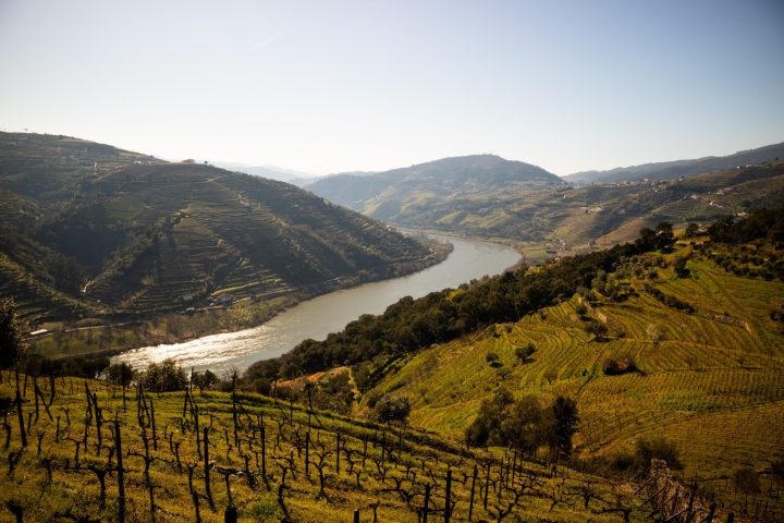 douro river landscapes in regua, douro