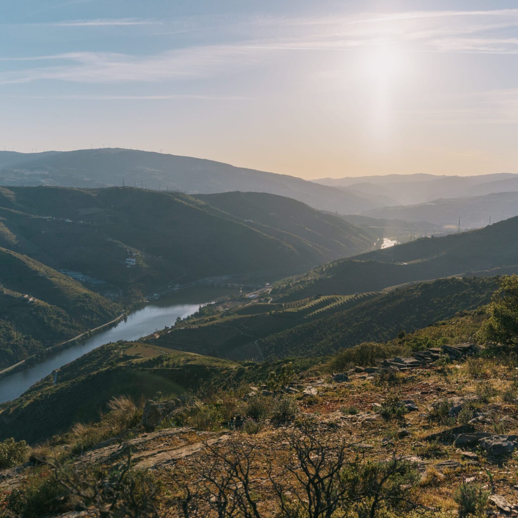 a view of a mountain