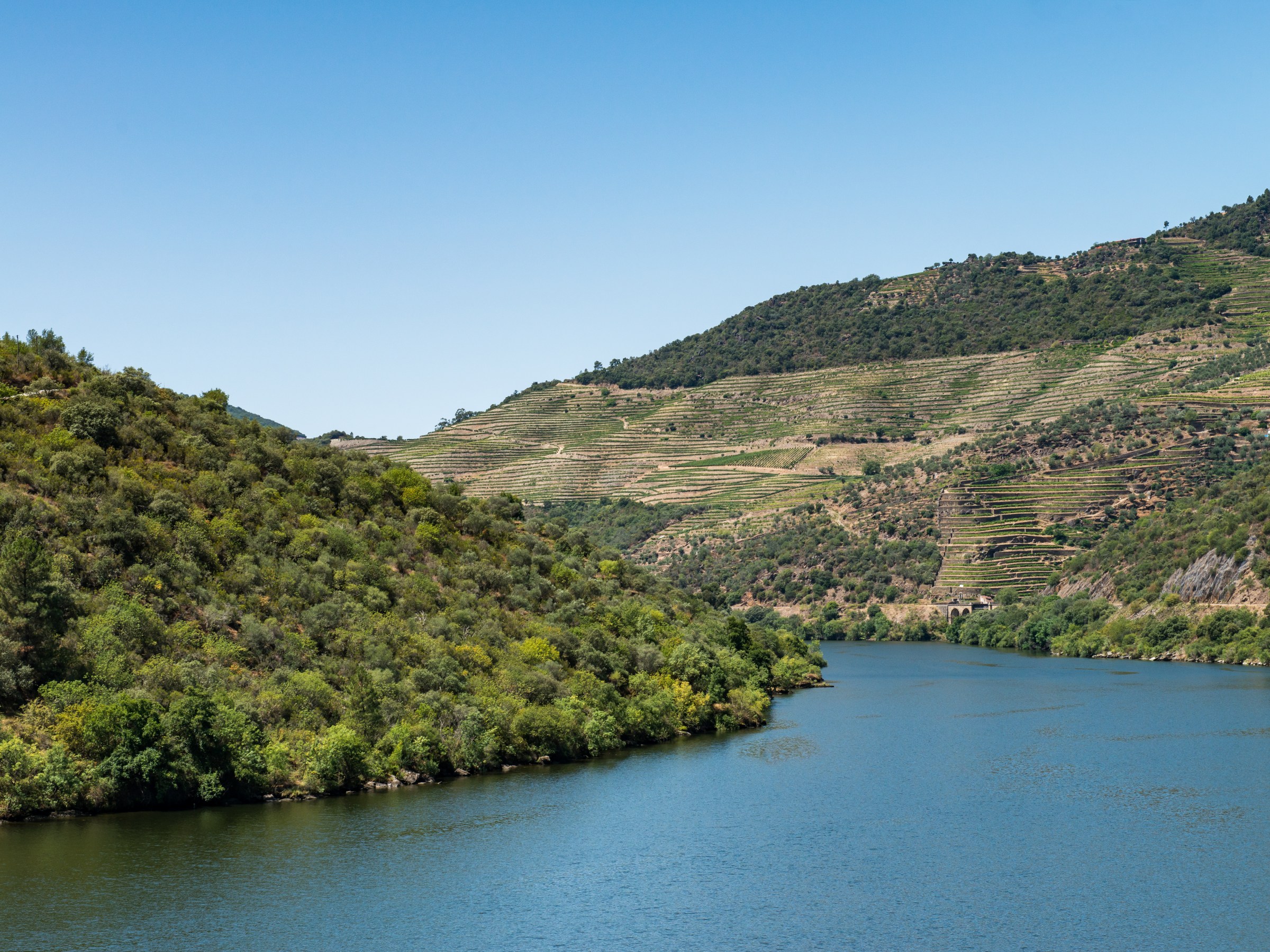 River winding through lush green hills under a clear blue sky.