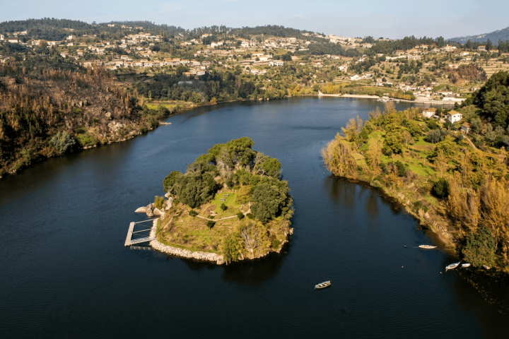 Aerial view of a small, wooded island in a river surrounded by hilly landscape and scattered buildings.