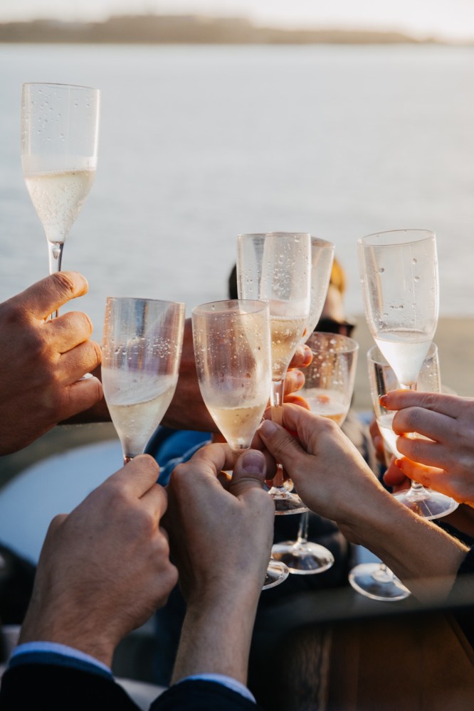 Group of people toasting with champagne flutes near water.