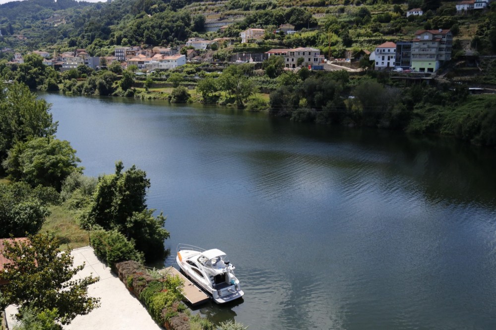 Terraced slopes and vineyards of the Alto Douro Wine Region beside the river