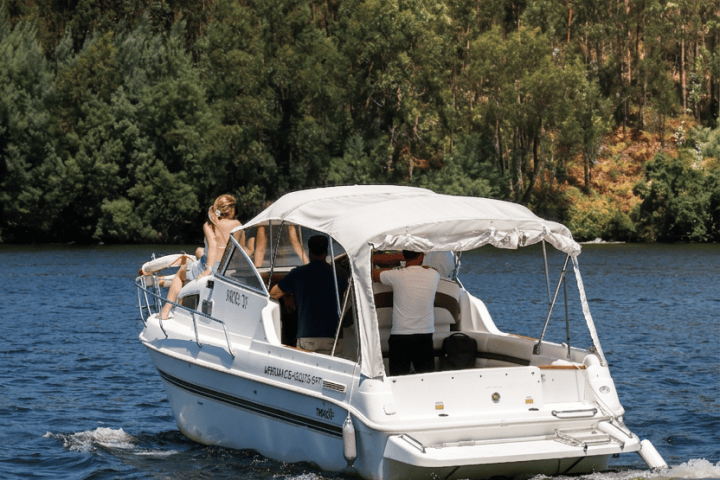 Small motorboat with canopy on a lake, surrounded by trees.